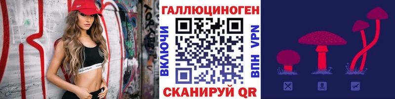 цены даркнет как зайти Галлюциногенные грибы Psilocybine cubensis Белокуриха